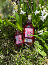 Load image into Gallery viewer, Watermelon Soju
